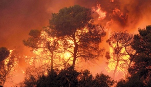 carmel fire carmel fire
