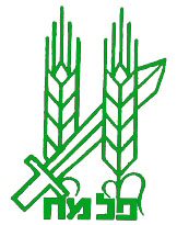 Palmach emblem