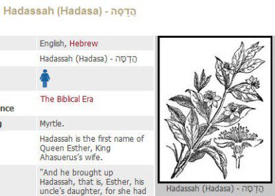 hadassah myrtle