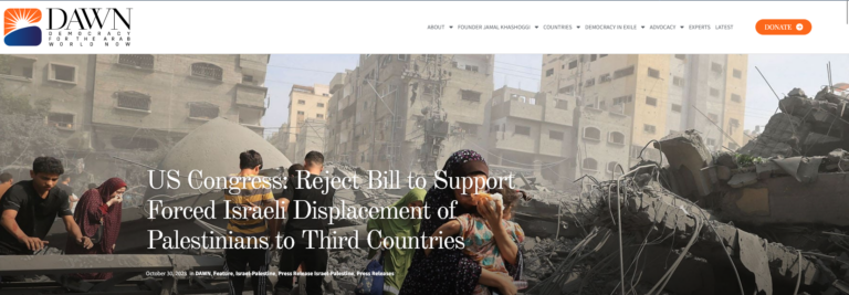 screenshot-dawnmena.org-2023.11.08-18_26_38